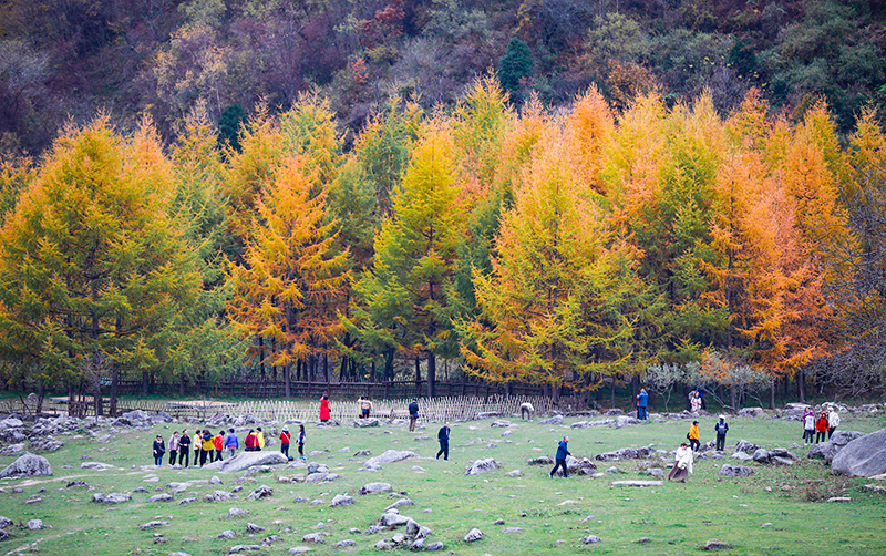 2023年10月27日，深秋時(shí)節(jié)的陜西秦嶺太子嶺漫山紅黃、色彩交織，進(jìn)入最佳觀賞期。
